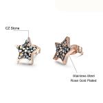 RainSo Fashion Stainless Steel Rose Gold Star Shape Stud Earrings