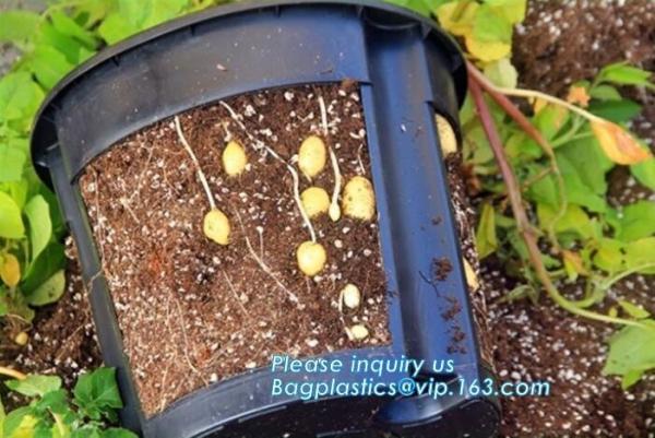 Buy cheap Green Gardening Biodegradable Recycling Bags Seeding Nursery Pots from wholesalers