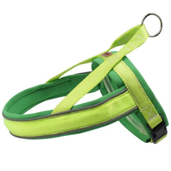 Buy cheap Nylon Adjustable Light Up Led Dog Harness Rechargeable Soft Outdoor Flashing from wholesalers