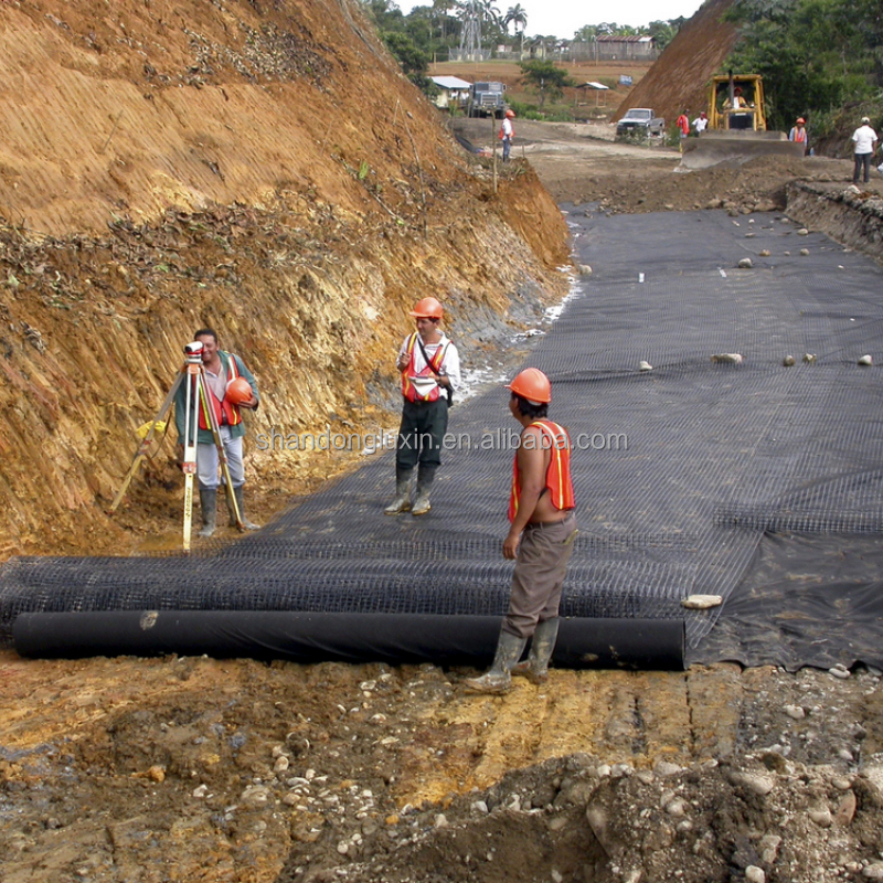 Geomembranes for Landfill Cover High Reinforcement 500 Micron HDPE Geomembrane Liner