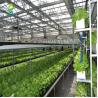 Buy cheap 90 Sites 10 Pipe Soilless Hydroponic System from wholesalers