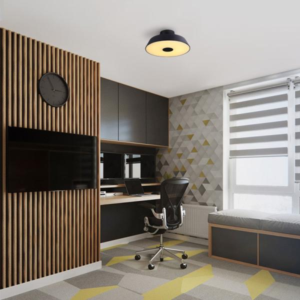 Buy cheap Nordic ceiling lights daily lighting Modern LED ceiling light surface mounted ceiling lamp(WH-MA-189) from wholesalers
