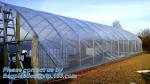 Agricultural PE Film, Agriculture Polyethylene, Film, mulch films, horticultural