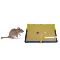 Buy cheap Non Toxic Harmless Super Sticky Mouse Trap Board Catch Rat Home Kitchen product