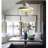 Buy cheap Modern Chandelier about Bedroom Living Room Kitchen Study Home Cafe Animal Pendant Lights（WH-GP-117) from wholesalers