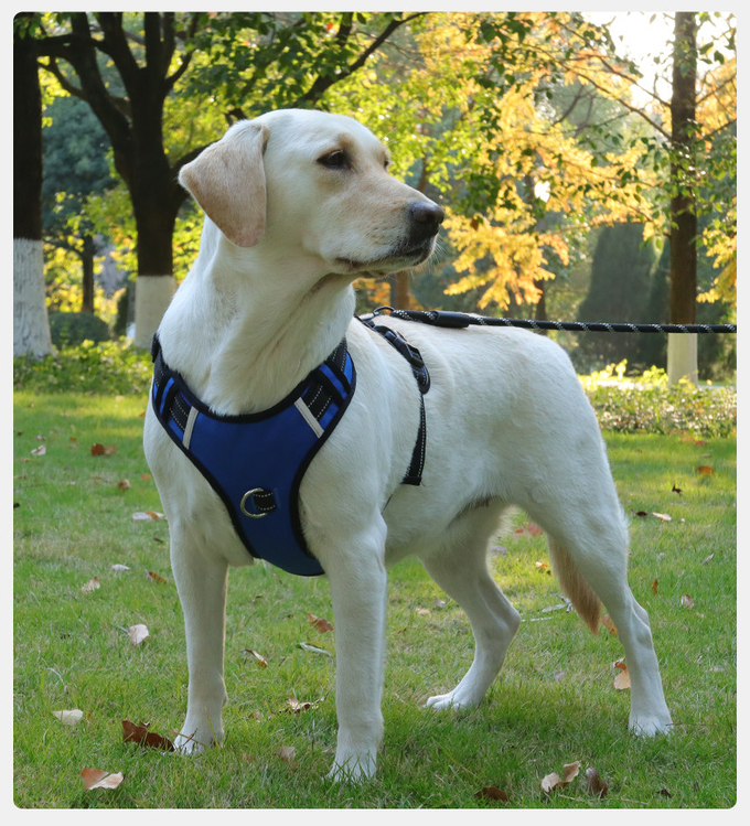 Pet Anti breakaway Harness Reflective Multifunctional Anti Lost Harness For Large Dog