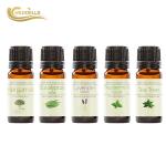 Natural GMP Essential Oils Set Skincare Relax And Improve Sleep
