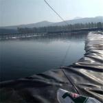 Waterproof HDPE Geomembrane Dam Liner Pond Liners Membrane 0.5mm to 2mm for