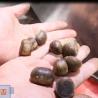 Buy cheap 380V Intelligent Rotational Scanning Silver Chestnuts Sorting Machine 6 - 20 Lanes from wholesalers