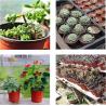 Buy cheap potato plant pot with plastic material,planting pots potato basin, Hydroponic vertical growing systems PP plant flower from wholesalers