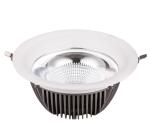 30W Q Type COB LED downlight