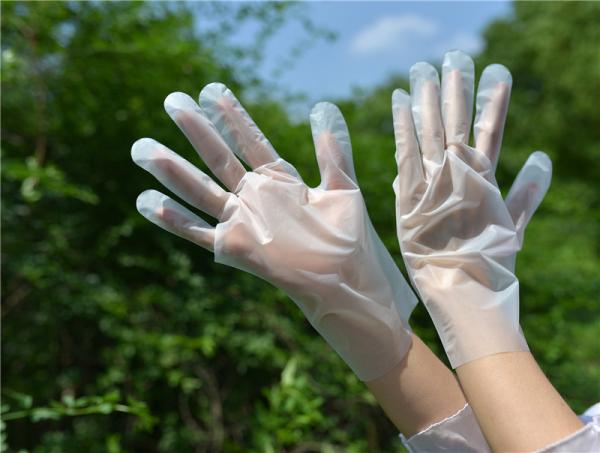 Buy cheap 1.8g/Pc Multifunctional Tpe Gloves For Cleaning Hand Protection from wholesalers