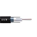 Steel Tube 2 Core Drop Cable , Drop Core Fiber Optic Light Weight