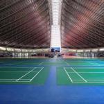 Indoor Relle PVC Sport Badminton Court BWF Floor Mat 6.0mm 1.0mm/1.2mm Wear