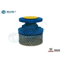 Buy cheap Compact Foot Valve Strainer DN50 - DN500 With Ductile Iron Body product