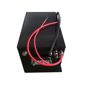 Wholesale Tian Neng AGV Lithium Golf Cart Battery For Golf Course Transportation from china suppliers