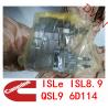 Buy cheap Cummins Diesel fuel injection pump 3973228 = CCR1600 = 3973228 =4921431 for Cummins ISLe ISL8.9 QSL9 6D114 Diesel Engine from wholesalers