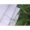 Buy cheap Photo Mounting Foam Core Poster Board , 10mm Foam Board 0.3g / Cm3 Density from wholesalers