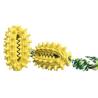 Buy cheap Pet Supply Wholesale Dogs Toothbrush Cleaning Durable Pet Chew Toy With Rope Molar Ball from wholesalers
